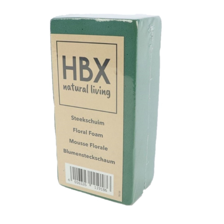 HBX Natural Living steekschuim/oase - groen - L20 x B10 x H7,5 cm - foam - rechthoekig