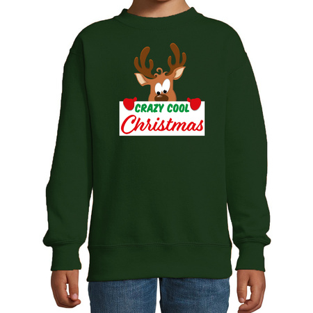Crazy cool Christmas Kerstsweater / Kersttrui groen voor kinderen
