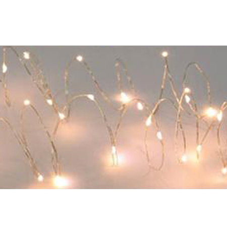 Wire lights silver with warm white LED lights 6 meters battery powered with timer