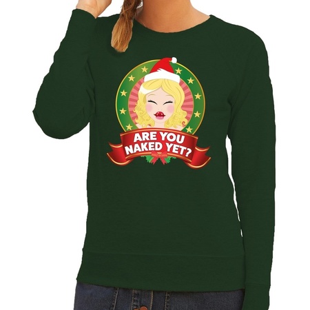 Merry Christmas sweater green Are You Naked Yet for ladies