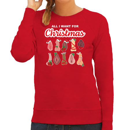 Christmas sweater for ladies - All I want for Christmas - dick/vagina - red