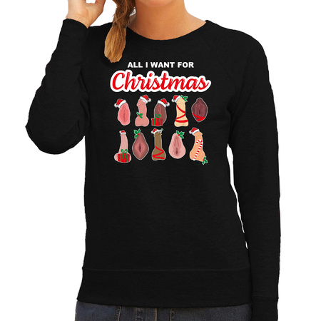 Foute kersttrui/sweater dames - All I want for Christmas - piemel/vagina - zwart