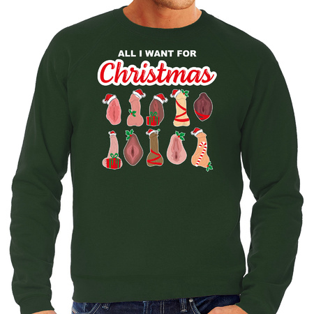 Foute kersttrui/sweater heren - All I want for Christmas - piemel/vagina - groen