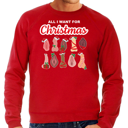 Foute kersttrui/sweater heren - All I want for Christmas - piemel/vagina - rood