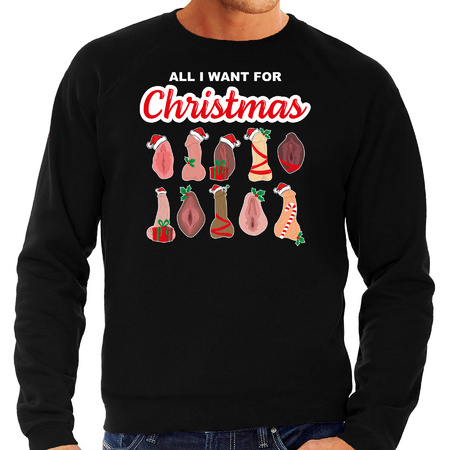 Foute kersttrui/sweater heren - All I want for Christmas - piemel/vagina - zwart