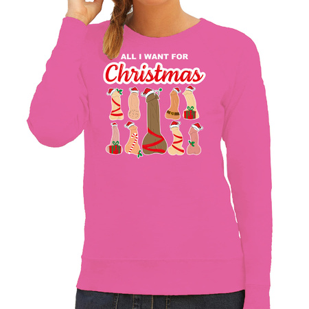 Foute kersttrui/sweater voor dames - All I want for Christmas - piemels - roze