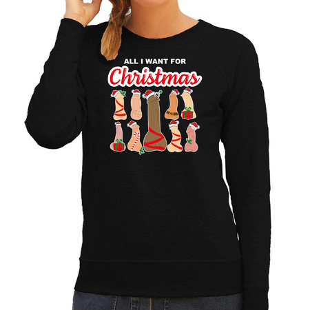 Foute kersttrui/sweater voor dames - All I want for Christmas - piemels - zwart