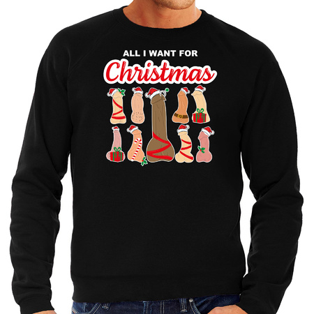 Foute kersttrui/sweater voor heren - All I want for Christmas - piemels - zwart