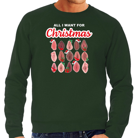 Foute kersttrui/sweater voor heren - All I want for Christmas - vagina - groen