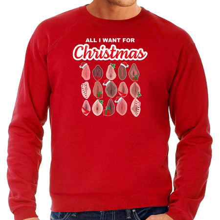 Foute kersttrui/sweater voor heren - All I want for Christmas - vagina - rood