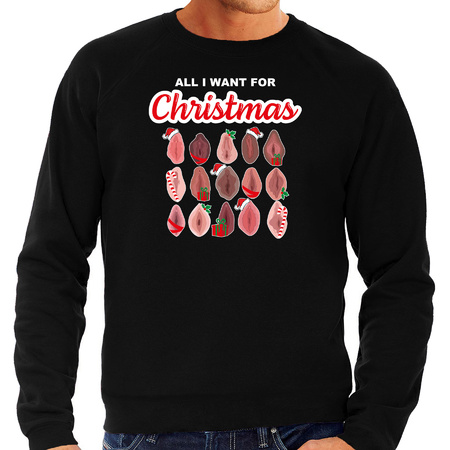 Foute kersttrui/sweater voor heren - All I want for Christmas - vagina - zwart
