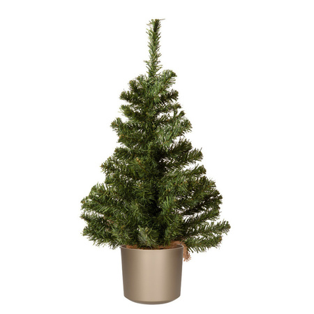 Mini christmas tree green - in grey plastic pot - 60 cm