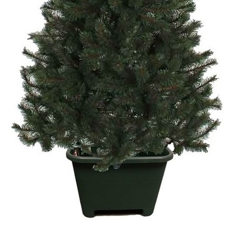 Vierkante groene kerstboom standaard voor een Fijnspar kerstboom